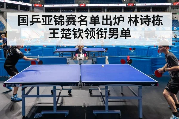 table tennis competition